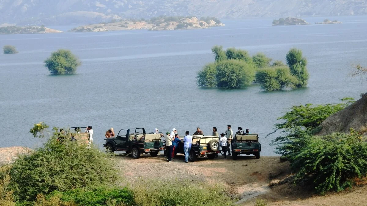 Udaipur to Jawai Taxi